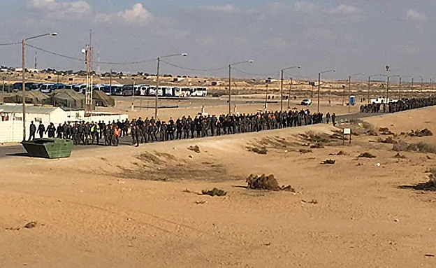 האימון בצאלים, היום (צעירי עפרה)