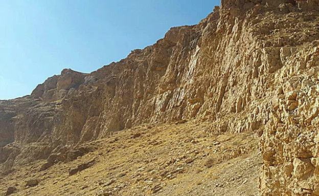 החברים לא מחפשים אשמים (מיכה בן גיגי, יחלצ ערד)