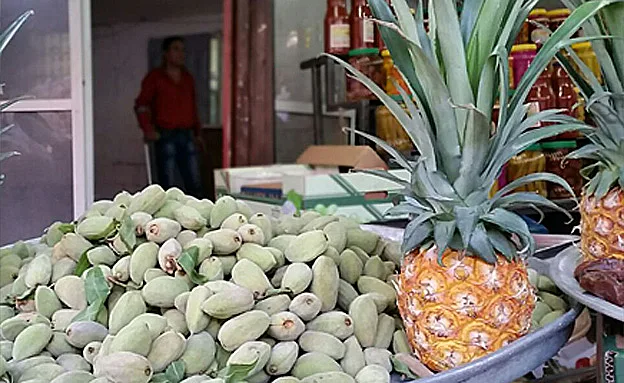 (עזרי עמרם, חדשות 2)