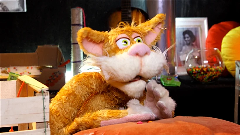 לא שולט בעצמו. ג'ימי החתול