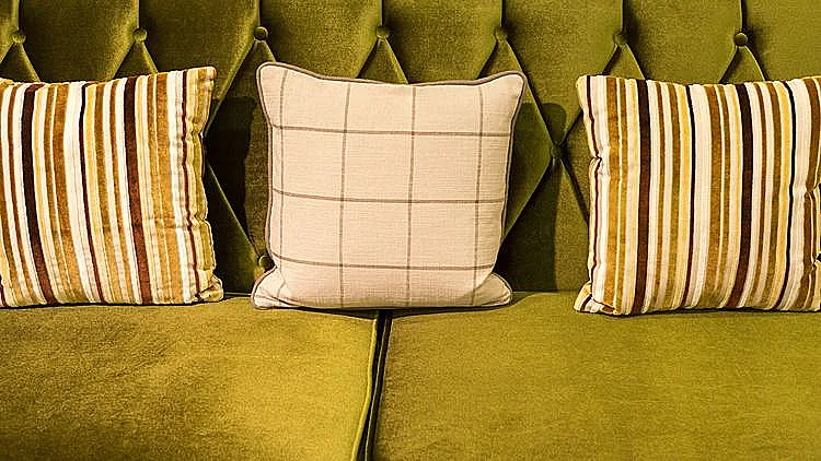 ירוק הוא ה-צבע (צילום: shutterstock)