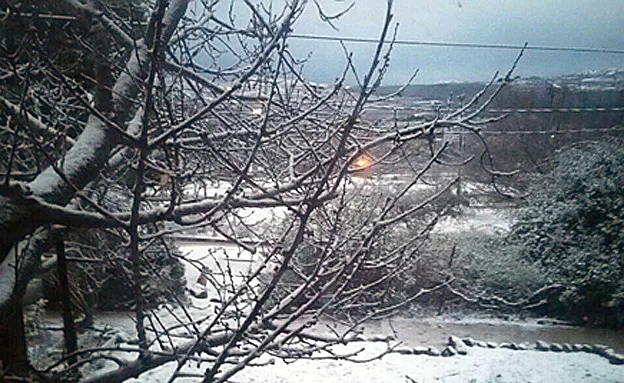 סערה בגולן, ארכיון