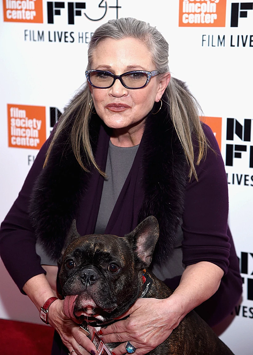 קארי פישר. ( גטי)