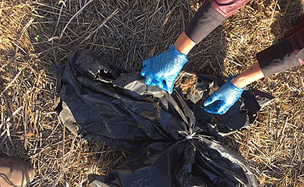 ''הלב מתכווץ''. (יחידת הסורקים)