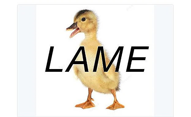 ''ברווז צולע''