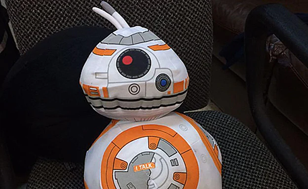 חקירה סמויה הובילה למעצר המוני