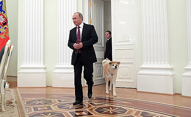 פוטין. ממשיך להכחיש מעורבות