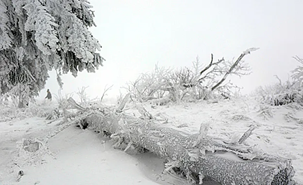 שקועים בשלג בגרמניה
