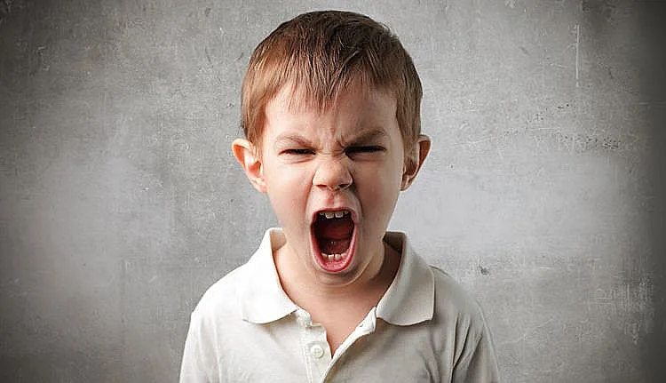 ''תסכול מראה על חוסר יכולת לווסת את הרגשות''