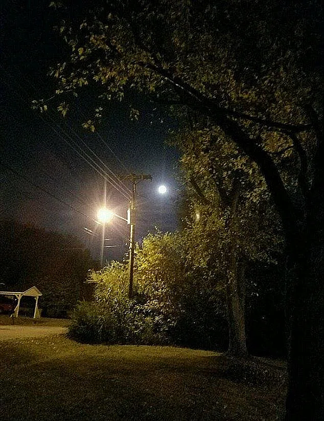 תמונה ראשונה - רק דשא