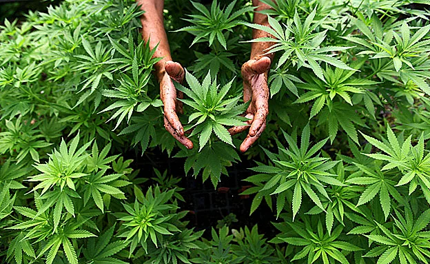 נדחים ניסויים (אילוסטרציה)