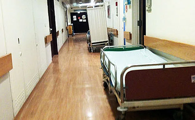 צילום ארכיון