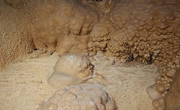 מיקום המערה יישמר בסוד