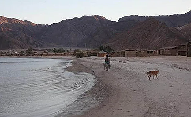 ''צמאים לתיירות''. סיני