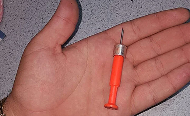 החצים שנורו לעבר הכלבות