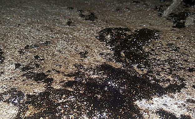 החשד: דליפה מצינור תת ימי (שרון עדי, המשרד להגנת הסביבה)