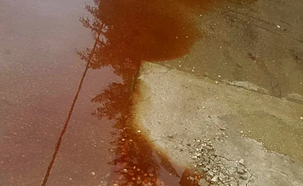 ''חוששים לבריאותינו''. דם ברחוב