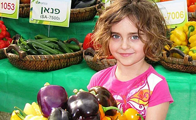 פיתוחים והזדמנויות, תערוכת החקלאות