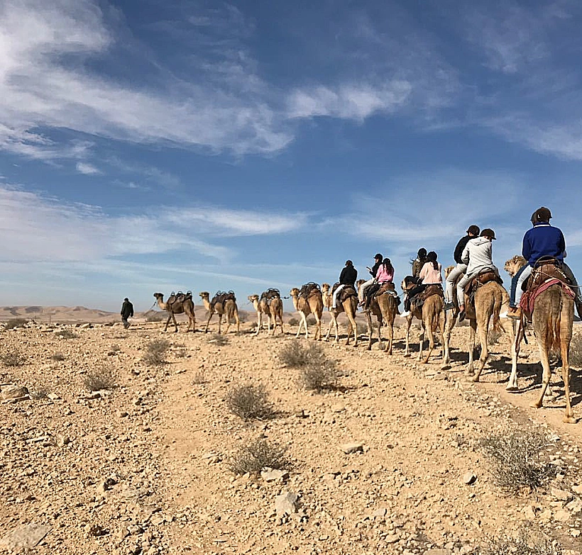 משרד הבינוי והשיכון