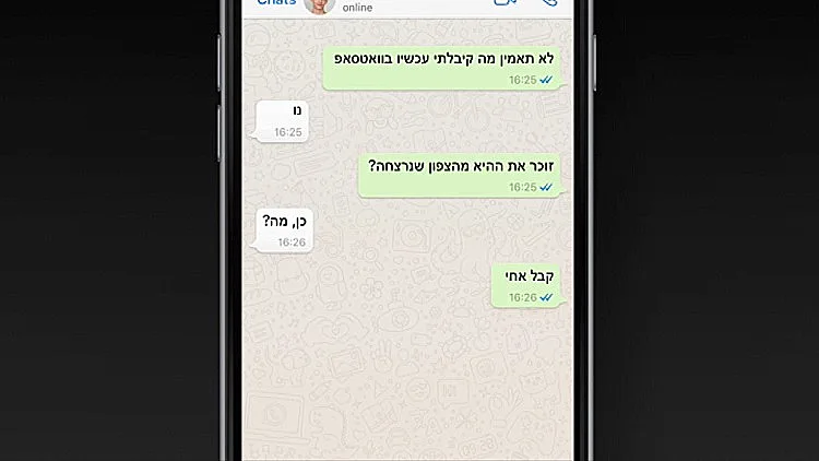 התכתבות בוואטסאפ, אילוסטרציה