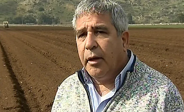 מזהיר מקריסה. דורמן (חדשות 2)