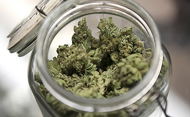 החליף את הפירות במריחואנה