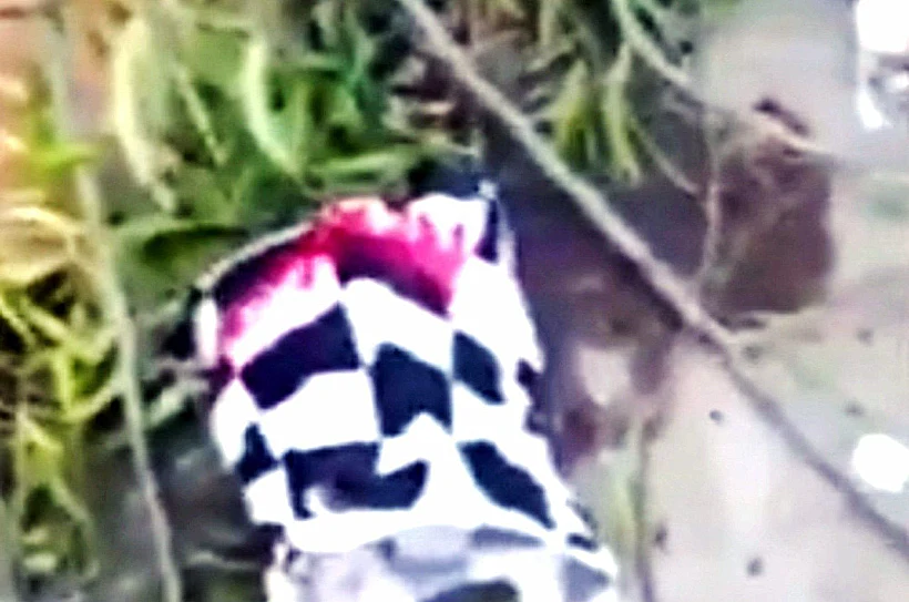 השקית בה נמצאה התינוקת