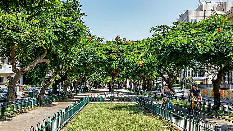 תואר ירוק. תל אביב