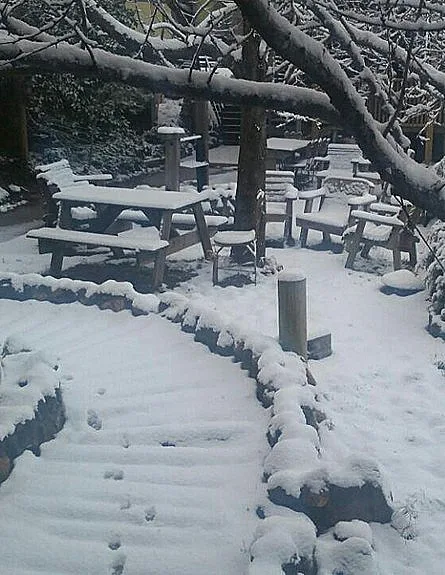 שלג ירד בהרי הצפון