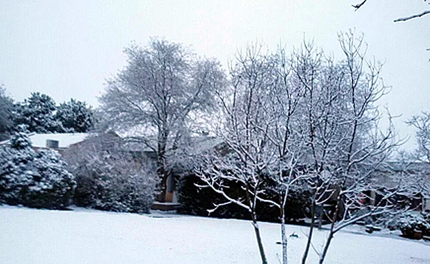 רמת הגולן מושלגת, הבוקר