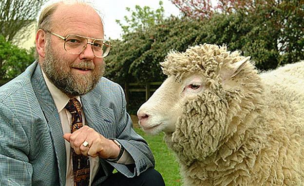 דולי והחוקר, סן איאן ווילמוט