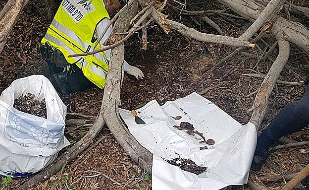 הזירה באשדוד