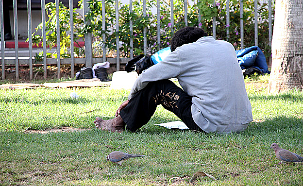 ''החצר האחורית של ת''א''