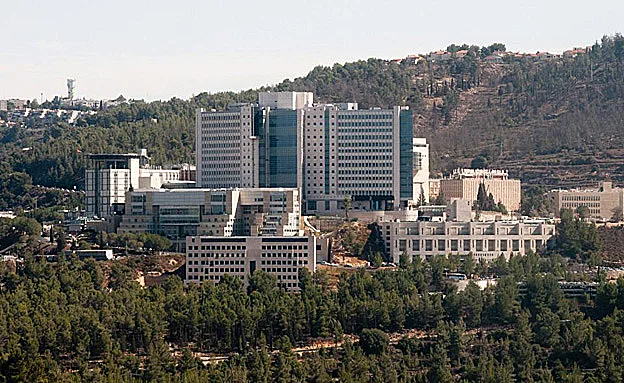 בית החולים הדסה עין כרם (ארכיון)