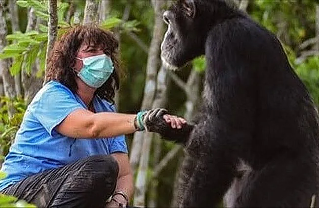 פונזו מברך לשלום את המחלצים