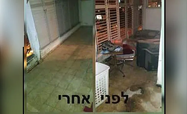 לפני ואחרי פעילות המתנדבים