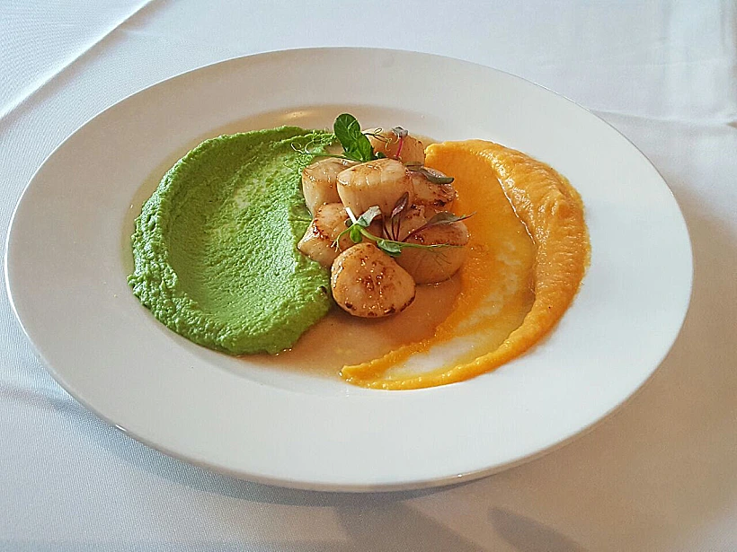 אורי בורי עכו