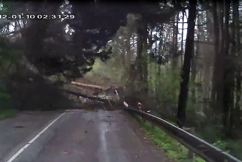 הרגע בו העצים קורסים על הכביש