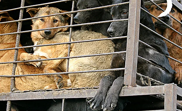 ''המדינה משקיעה במקום הלא נכון''