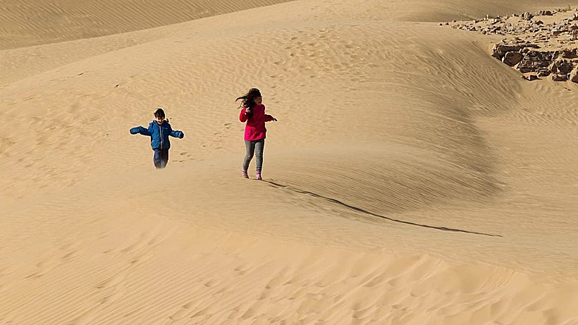הדיונות זהובות ועצומות (צילום: דורון ניסים)