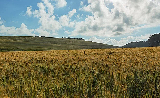 שבת אביבית, מומלץ לטייל