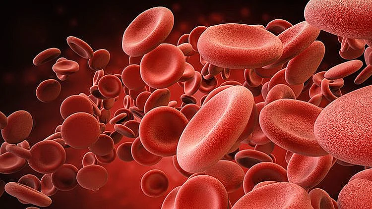 חוקרים מבוסטון טוענים כי הצליחו לייצר דם