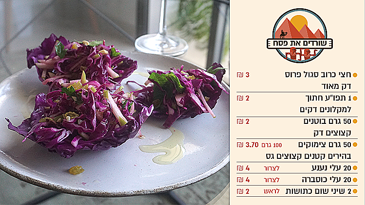 סלט כרוב סגול