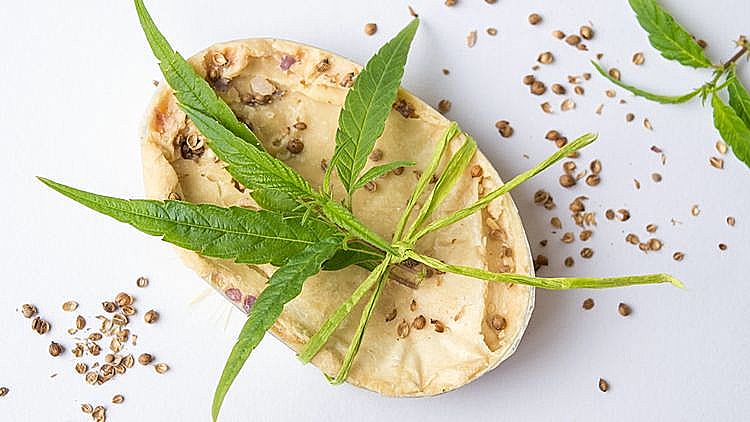 קוסמטיקה מקנאביס