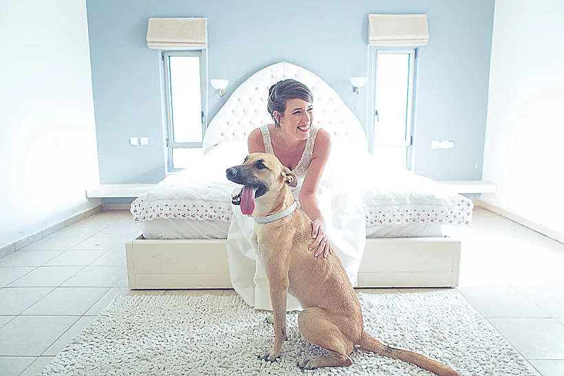 חתונות טרנדים 2017 הדוג-מנית