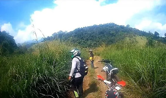 לאחר מרדף קצר - נעלם לתוך הסבך