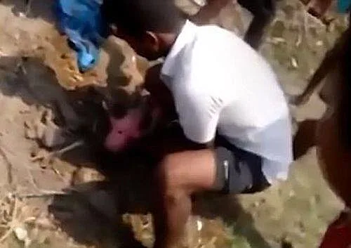 הרגע בו נשלפה מהאדמה