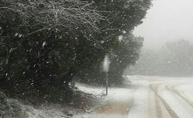 שלג במג'דל שאמס, היום