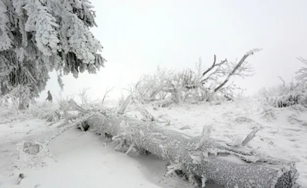 שקועים בשלג בגרמניה