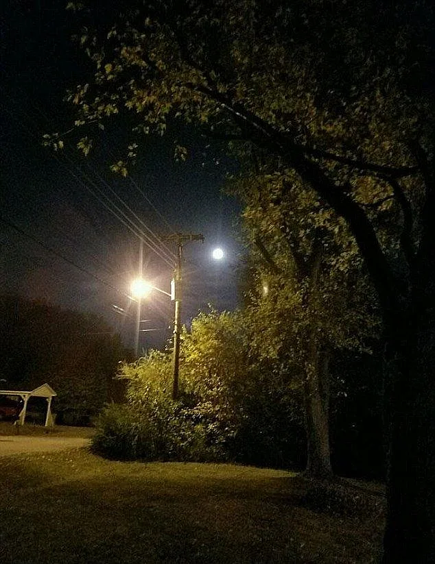 תמונה ראשונה - רק דשא